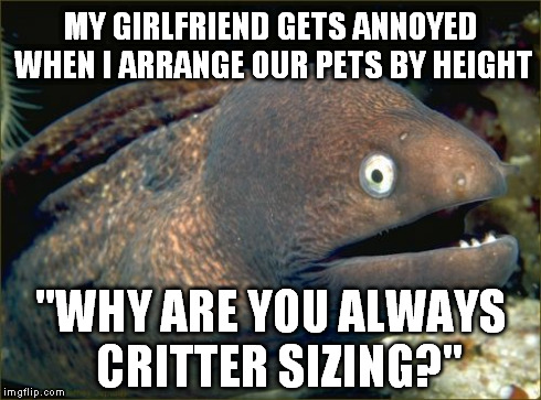 Bad Joke Eel Meme | MY GIRLFRIEND GETS ANNOYED WHEN I ARRANGE OUR PETS BY HEIGHT "WHY ARE YOU ALWAYS  CRITTER SIZING?" | image tagged in memes,bad joke eel | made w/ Imgflip meme maker