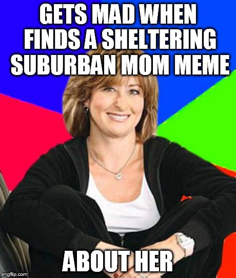 Sheltering Suburban Mom | GETS MAD WHEN FINDS A SHELTERING SUBURBAN MOM MEME ABOUT HER | image tagged in memes,sheltering suburban mom,gets mad,computer | made w/ Imgflip meme maker