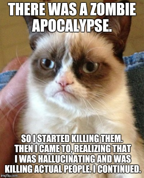 Grumpy Cat Meme | THERE WAS A ZOMBIE APOCALYPSE. SO I STARTED KILLING THEM. THEN I CAME TO, REALIZING THAT I WAS HALLUCINATING AND WAS KILLING ACTUAL PEOPLE.  | image tagged in memes,grumpy cat | made w/ Imgflip meme maker