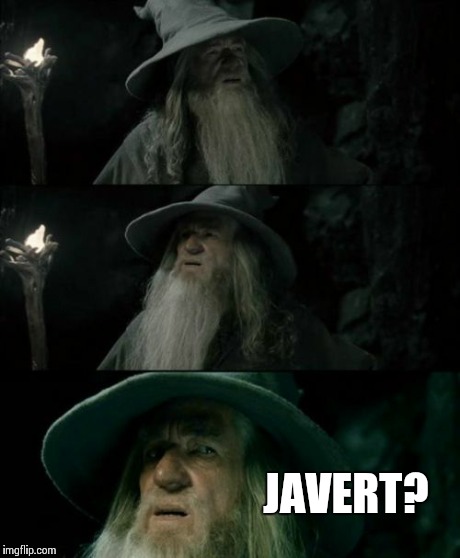 Confused Gandalf Meme | JAVERT? | image tagged in memes,confused gandalf | made w/ Imgflip meme maker
