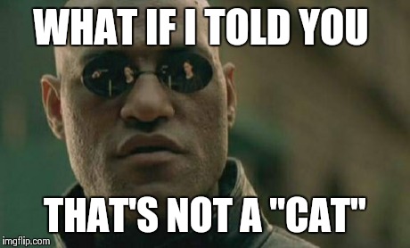 Matrix Morpheus Meme | WHAT IF I TOLD YOU THAT'S NOT A "CAT" | image tagged in memes,matrix morpheus | made w/ Imgflip meme maker