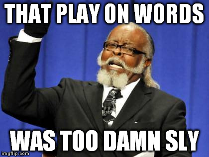 Too Damn High Meme | THAT PLAY ON WORDS WAS TOO DAMN SLY | image tagged in memes,too damn high | made w/ Imgflip meme maker