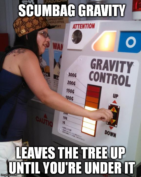 SCUMBAG GRAVITY LEAVES THE TREE UP UNTIL YOU'RE UNDER IT | made w/ Imgflip meme maker