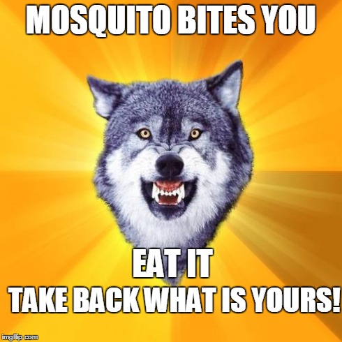 Courage Wolf | MOSQUITO BITES YOU EAT IT TAKE BACK WHAT IS YOURS! | image tagged in memes,courage wolf | made w/ Imgflip meme maker