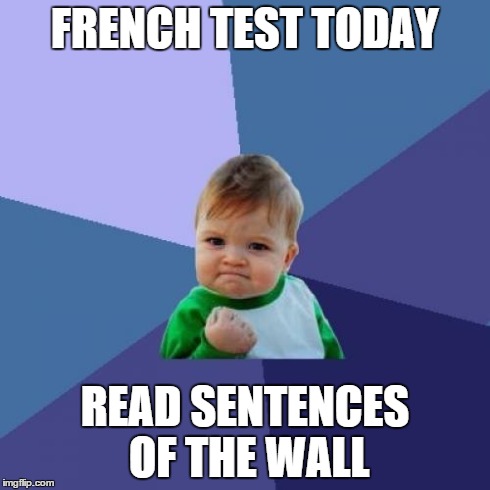 Success Kid | FRENCH TEST TODAY READ SENTENCES OF THE WALL | image tagged in memes,success kid | made w/ Imgflip meme maker