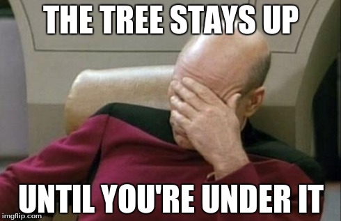 Captain Picard Facepalm Meme | THE TREE STAYS UP UNTIL YOU'RE UNDER IT | image tagged in memes,captain picard facepalm | made w/ Imgflip meme maker