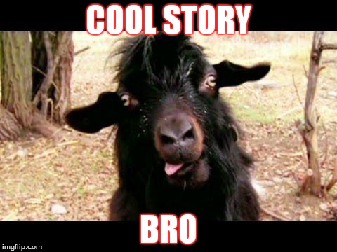 COOL STORY BRO | image tagged in cool story bro | made w/ Imgflip meme maker