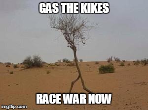 GAS THE KIKES RACE WAR NOW | made w/ Imgflip meme maker