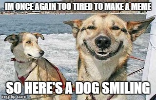 Original Stoner Dog | IM ONCE AGAIN TOO TIRED TO MAKE A MEME SO HERE'S A DOG SMILING | image tagged in memes,original stoner dog | made w/ Imgflip meme maker