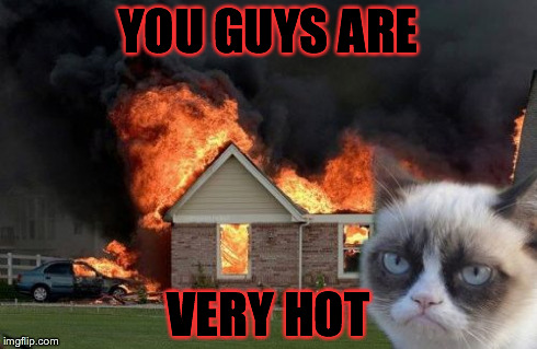 Burn Kitty | YOU GUYS ARE VERY HOT | image tagged in memes,burn kitty | made w/ Imgflip meme maker