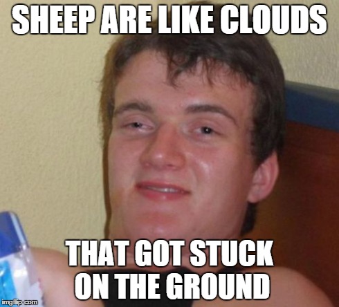 10 Guy Meme | SHEEP ARE LIKE CLOUDS THAT GOT STUCK ON THE GROUND | image tagged in memes,10 guy | made w/ Imgflip meme maker