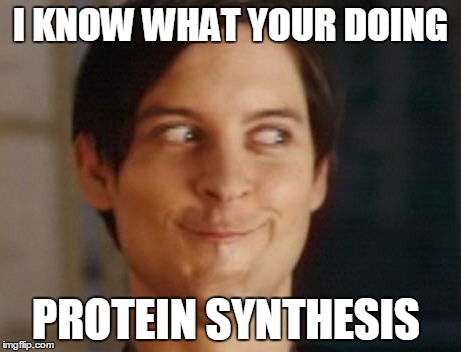 Spiderman Peter Parker | I KNOW WHAT YOUR DOING PROTEIN SYNTHESIS | image tagged in memes,spiderman peter parker | made w/ Imgflip meme maker