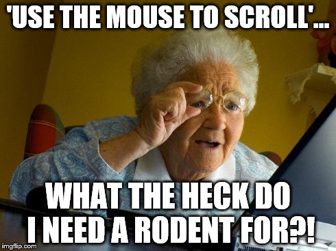 Grandma Finds The Internet | 'USE THE MOUSE TO SCROLL'... WHAT THE HECK DO I NEED A RODENT FOR?! | image tagged in memes,grandma finds the internet | made w/ Imgflip meme maker