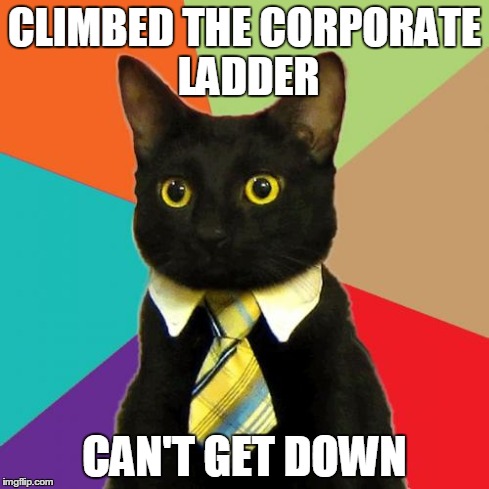 Business Cat | CLIMBED THE CORPORATE LADDER CAN'T GET DOWN | image tagged in memes,business cat | made w/ Imgflip meme maker