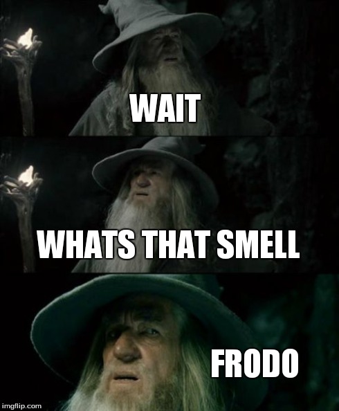 Confused Gandalf Meme | WAIT WHATS THAT SMELL FRODO | image tagged in memes,confused gandalf | made w/ Imgflip meme maker