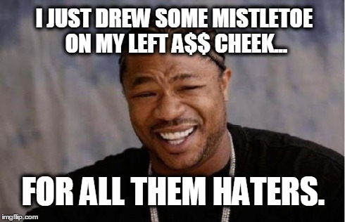 Yo Dawg Heard You | I JUST DREW SOME MISTLETOE ON MY LEFT A$$ CHEEK... FOR ALL THEM HATERS. | image tagged in memes,yo dawg heard you | made w/ Imgflip meme maker