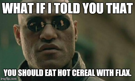 Matrix Morpheus Meme | WHAT IF I TOLD YOU THAT YOU SHOULD EAT HOT CEREAL WITH FLAX. | image tagged in memes,matrix morpheus | made w/ Imgflip meme maker