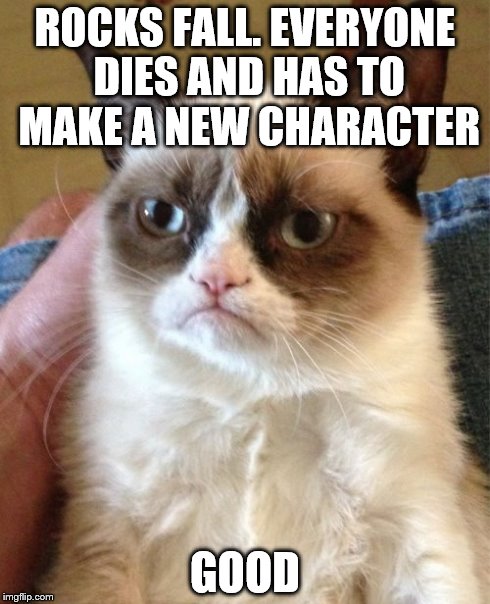 Grumpy Cat Meme | ROCKS FALL. EVERYONE DIES AND HAS TO MAKE A NEW CHARACTER GOOD | image tagged in memes,grumpy cat | made w/ Imgflip meme maker