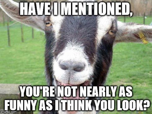 Funny Goat | HAVE I MENTIONED, YOU'RE NOT NEARLY AS FUNNY AS I THINK YOU LOOK? | image tagged in funny goat | made w/ Imgflip meme maker