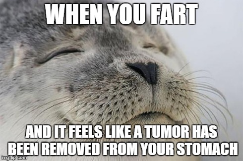 Satisfied Seal | WHEN YOU FART AND IT FEELS LIKE A TUMOR HAS BEEN REMOVED FROM YOUR STOMACH | image tagged in satisfied seal | made w/ Imgflip meme maker