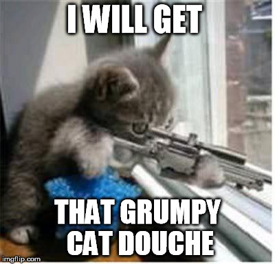 cats with guns | I WILL GET THAT GRUMPY CAT DOUCHE | image tagged in cats with guns,memes,grumpy cat | made w/ Imgflip meme maker