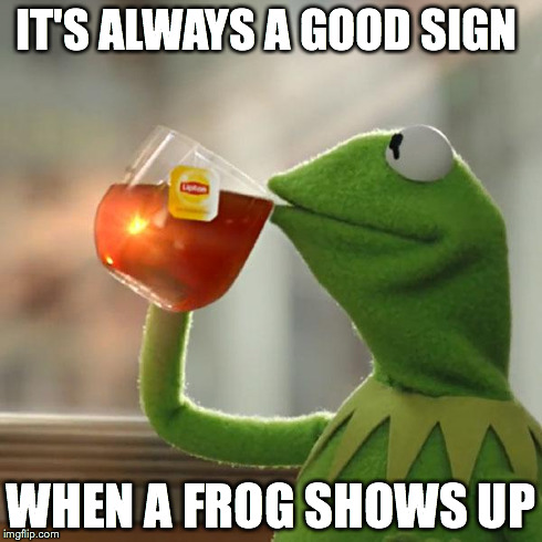 But That's None Of My Business | IT'S ALWAYS A GOOD SIGN WHEN A FROG SHOWS UP | image tagged in memes,but thats none of my business,kermit the frog | made w/ Imgflip meme maker