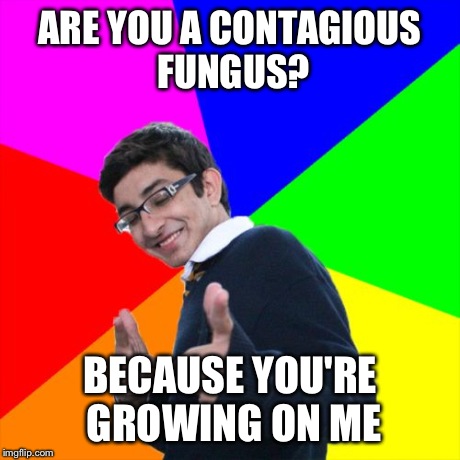 Subtle Pickup Liner Meme | ARE YOU A CONTAGIOUS FUNGUS? BECAUSE YOU'RE GROWING ON ME | image tagged in memes,subtle pickup liner,funny | made w/ Imgflip meme maker