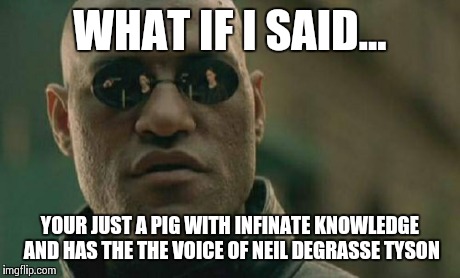 Matrix Morpheus | WHAT IF I SAID... YOUR JUST A PIG WITH INFINATE KNOWLEDGE AND HAS THE THE VOICE OF NEIL DEGRASSE TYSON | image tagged in memes,matrix morpheus | made w/ Imgflip meme maker