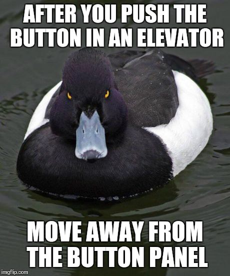 Revenge Duck. | AFTER YOU PUSH THE BUTTON IN AN ELEVATOR MOVE AWAY FROM THE BUTTON PANEL | image tagged in revenge duck | made w/ Imgflip meme maker