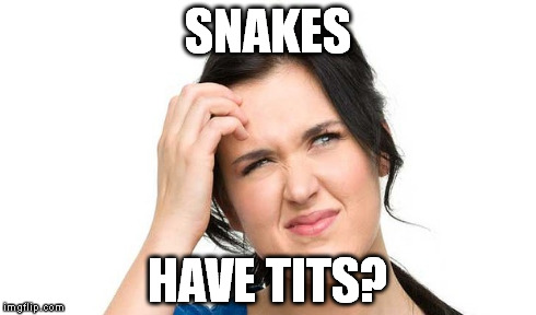 SNAKES HAVE TITS? | made w/ Imgflip meme maker