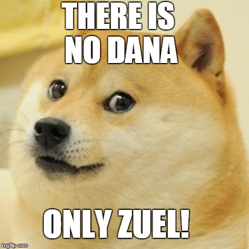 Here's a reference for those of you that grew lived through the 80's. | THERE IS NO DANA ONLY ZUEL! | image tagged in memes,doge | made w/ Imgflip meme maker