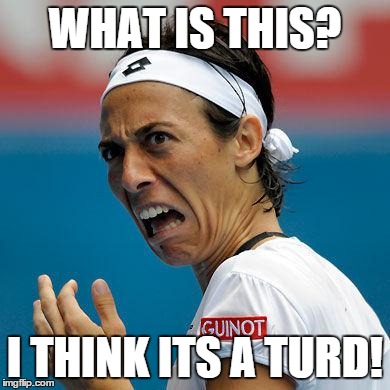 Funny Tennis Face | WHAT IS THIS? I THINK ITS A TURD! | image tagged in funny tennis face | made w/ Imgflip meme maker