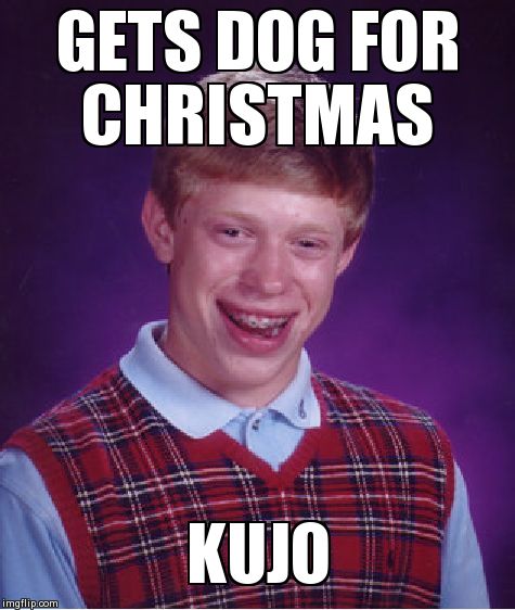 Bad Luck Brian Meme | GETS DOG FOR CHRISTMAS      KUJO | image tagged in memes,bad luck brian | made w/ Imgflip meme maker