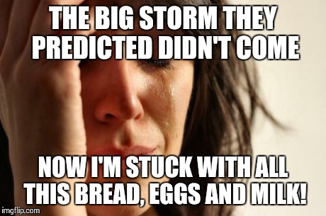First World Problems Meme | THE BIG STORM THEY PREDICTED DIDN'T COME NOW I'M STUCK WITH ALL THIS BREAD, EGGS AND MILK! | image tagged in memes,first world problems | made w/ Imgflip meme maker