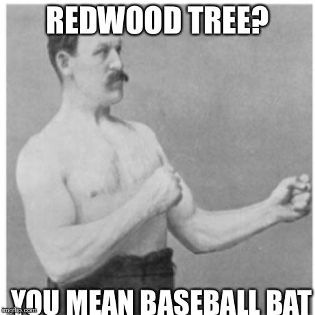 Overly Manly Man Meme | REDWOOD TREE? YOU MEAN BASEBALL BAT | image tagged in memes,overly manly man | made w/ Imgflip meme maker