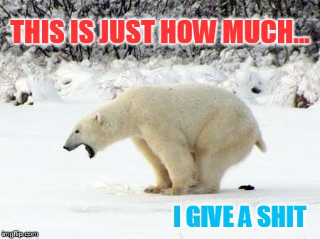 Polar Bear Shits in the Snow | THIS IS JUST HOW MUCH... I GIVE A SHIT | image tagged in polar bear shits in the snow | made w/ Imgflip meme maker
