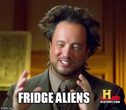 Ancient Aliens Meme | FRIDGE ALIENS | image tagged in memes,ancient aliens | made w/ Imgflip meme maker