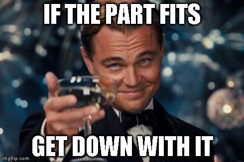 Leonardo Dicaprio Cheers Meme | IF THE PART FITS GET DOWN WITH IT | image tagged in memes,leonardo dicaprio cheers | made w/ Imgflip meme maker