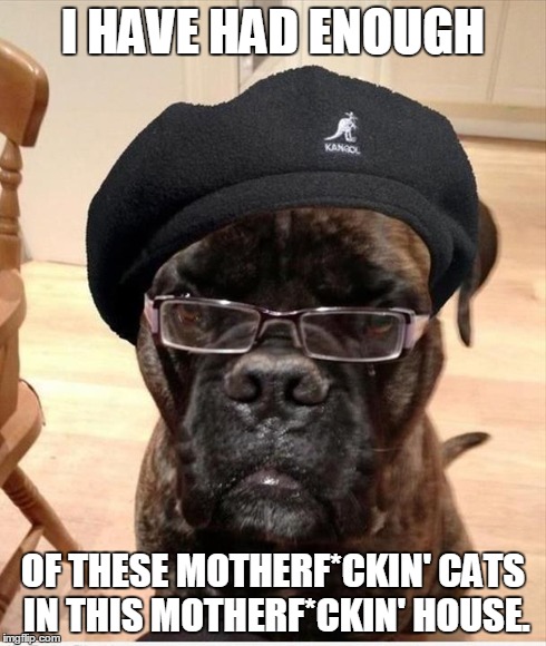 I HAVE HAD ENOUGH OF THESE MOTHERF*CKIN' CATS IN THIS MOTHERF*CKIN' HOUSE. | image tagged in samuel jackson,cats | made w/ Imgflip meme maker
