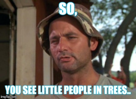So I Got That Goin For Me Which Is Nice | SO, YOU SEE LITTLE PEOPLE IN TREES.. | image tagged in memes,so i got that goin for me which is nice | made w/ Imgflip meme maker
