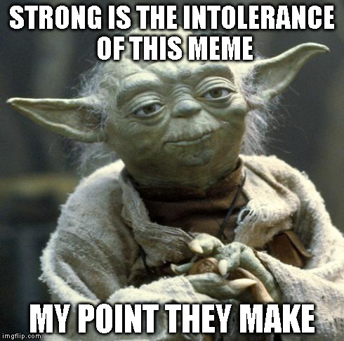 STRONG IS THE INTOLERANCE OF THIS MEME MY POINT THEY MAKE | made w/ Imgflip meme maker