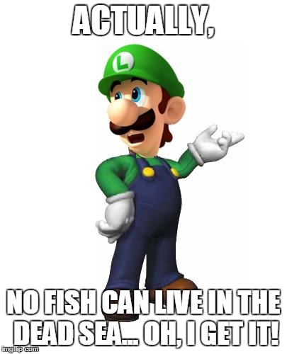 Logic Luigi | ACTUALLY, NO FISH CAN LIVE IN THE DEAD SEA... OH, I GET IT! | image tagged in logic luigi | made w/ Imgflip meme maker