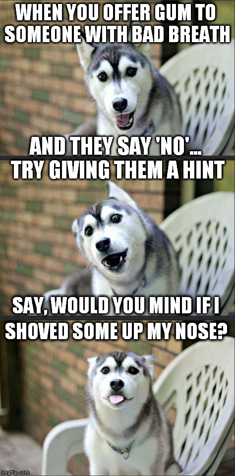Bad breath tip | WHEN YOU OFFER GUM TO SOMEONE WITH BAD BREATH AND THEY SAY 'NO'... TRY GIVING THEM A HINT SAY, WOULD YOU MIND IF I SHOVED SOME UP MY NOSE? | image tagged in memes,jokes,joke dog | made w/ Imgflip meme maker