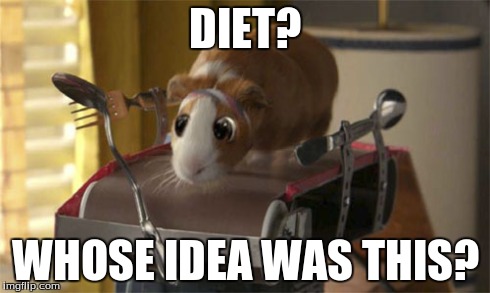 DIET? WHOSE IDEA WAS THIS? | image tagged in hamster,workout,diet,eyes | made w/ Imgflip meme maker
