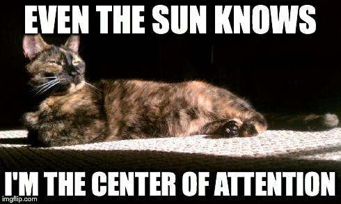 Sun Cat | EVEN THE SUN KNOWS I'M THE CENTER OF ATTENTION | image tagged in suncat,cats,queen | made w/ Imgflip meme maker