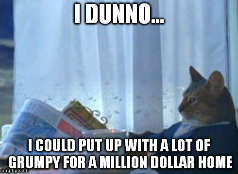 I Should Buy A Boat Cat Meme | I DUNNO... I COULD PUT UP WITH A LOT OF GRUMPY FOR A MILLION DOLLAR HOME | image tagged in memes,i should buy a boat cat | made w/ Imgflip meme maker