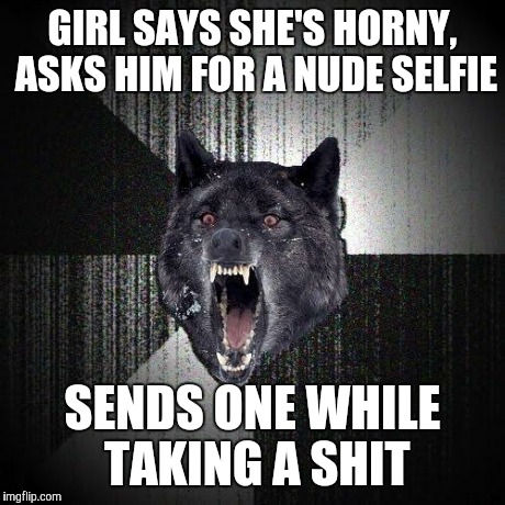Insanity Wolf | GIRL SAYS SHE'S HORNY, ASKS HIM FOR A NUDE SELFIE SENDS ONE WHILE TAKING A SHIT | image tagged in memes,insanity wolf,AdviceAnimals | made w/ Imgflip meme maker