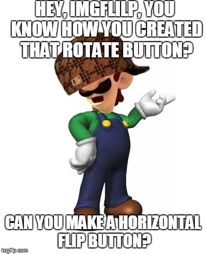 Logic Luigi | HEY, IMGFLILP, YOU KNOW HOW YOU CREATED THAT ROTATE BUTTON? CAN YOU MAKE A HORIZONTAL FLIP BUTTON? | image tagged in logic luigi,scumbag | made w/ Imgflip meme maker