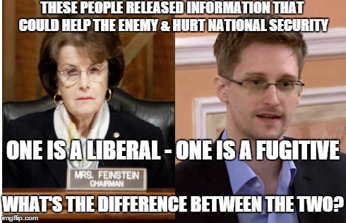 Fienstien and Snowden  | THESE PEOPLE RELEASED INFORMATION THAT COULD HELP THE ENEMY & HURT NATIONAL SECURITY ONE IS A LIBERAL - ONE IS A FUGITIVE WHAT'S THE DIFFERE | image tagged in ed snowden,traitors,national security,releases classifed,cia,senator feinstein | made w/ Imgflip meme maker