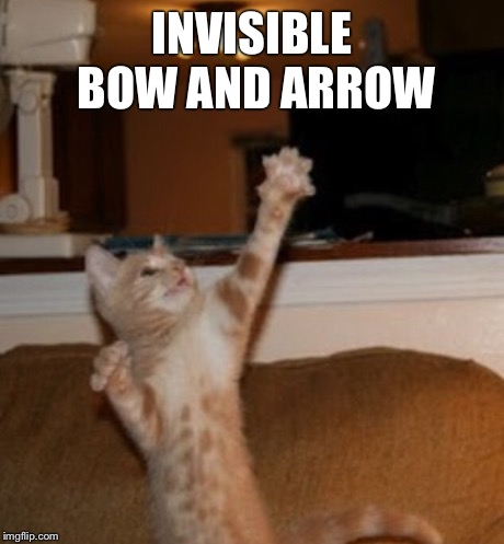 INVISIBLE BOW AND ARROW | image tagged in cats | made w/ Imgflip meme maker